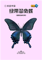 绿带翠凤蝶