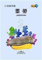 墨鱼
