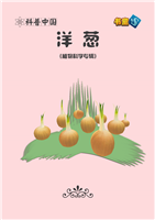 洋葱