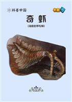 奇虾