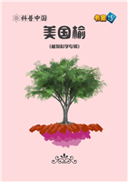 (2)美国榆
