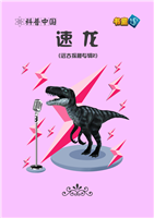 速龙(1)