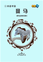 斑马(1)