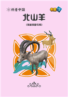 北山羊(2)