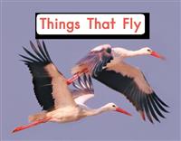 (2)ThingsThatFly