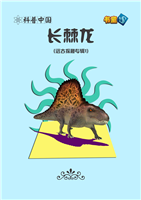 (Ⅱ)长棘龙