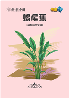 蝎尾蕉(1)