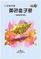 (2)黄色盒子鱼