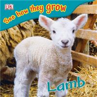 DK See  how they grow Lamb(2)