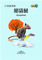 (2)树袋鼠