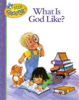(Ⅰ)What is God Like