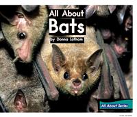 AllAboutBats(1)