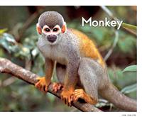 (Ⅱ)Monkey