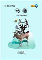 (2)马鹿