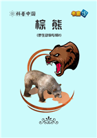 (Ⅰ)棕熊