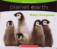 (Ⅰ)planet earth Baby Penguins Scholastic