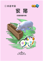 (Ⅱ)家猪