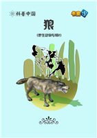 (2)狼