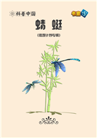 (Ⅰ)蜻蜓