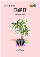 (Ⅰ)马尾铁