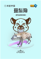 斑鬣狗(Ⅰ)