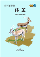 (1)羚羊