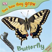 DK See  how they grow Butterfly(2)