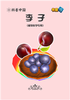 (1)李子