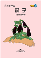 (Ⅱ)茄子