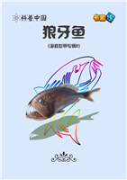 狼牙鱼(Ⅰ)