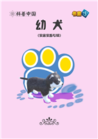 (2)幼犬