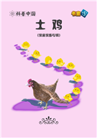 土鸡(1)