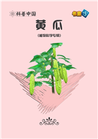 黄瓜(Ⅱ)