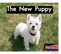 TheNewPuppy(1)