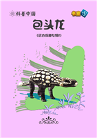 (2)包头龙