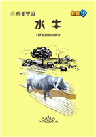 (1)水牛