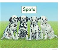 Spots(1)