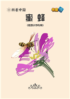 蜜蜂(1)