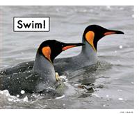Swim(2)