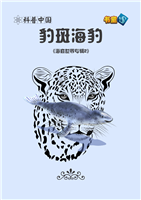 豹斑海豹(1)