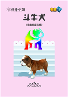 (Ⅰ)斗牛犬