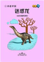 迷惑龙(Ⅱ)