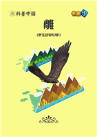 (2)雕