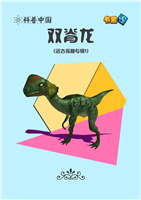 (Ⅱ)双脊龙