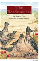 (Ⅱ)TheRoadrunners