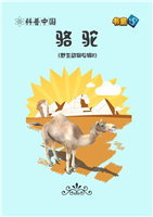 骆驼(2)