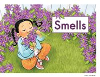 (Ⅱ)Smells
