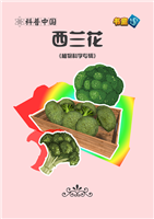 西兰花(1)