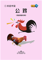公鸡(Ⅱ)