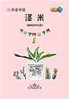 (2)泽米